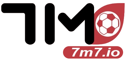 vnsportsnews.com