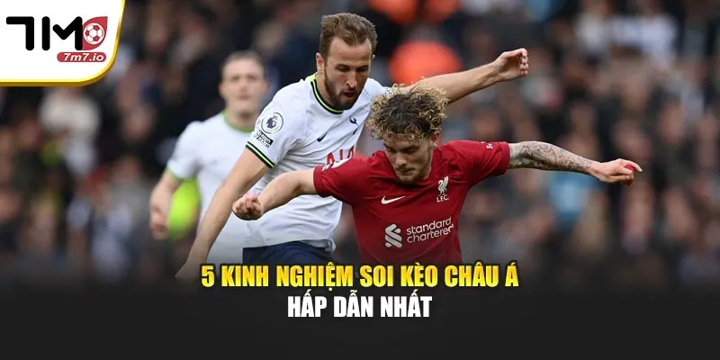 5 Kinh Nghiệm Soi Kèo Châu Á Hiệu Quả Nhất Cho Tân Thủ 5 kinh nghiệm soi kèo châu Á hấp dẫn nhất