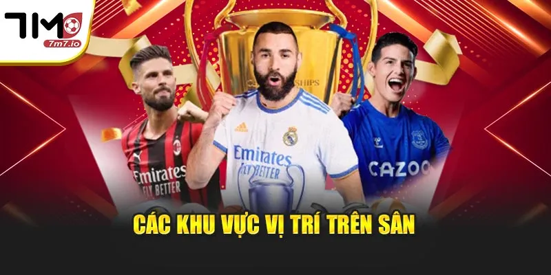 Vị Trí Trên Sân: Cẩm Nang Về Sơ Đồ Chiến Thuật Tại 7M Các khu vực vị trí trên sân