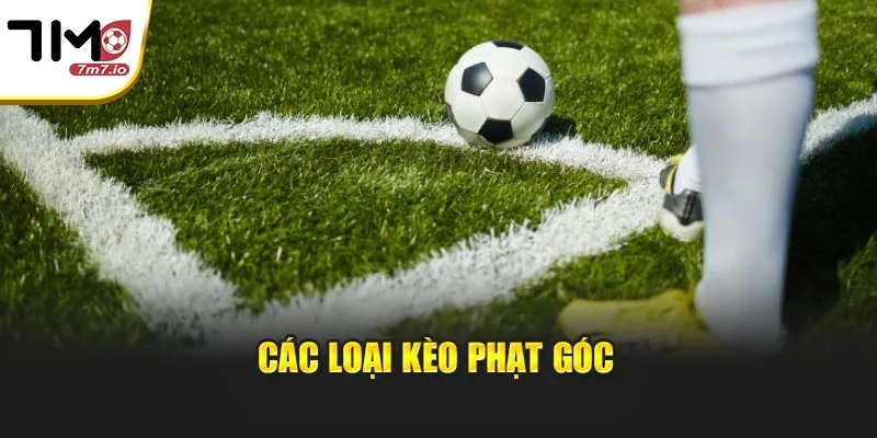 Kèo Phạt Góc: Chiến Thuật Và Bí Quyết Làm Chủ Cược Tại 7M Các loại kèo phạt góc