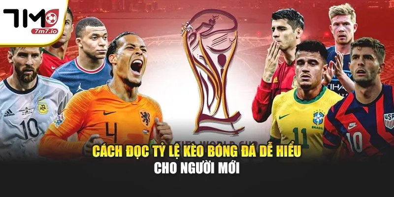 Cách Đọc Tỷ Lệ Kèo Bóng Đá Dễ Hiểu Cho Người Mới Cách Đọc Tỷ Lệ Kèo Bóng Đá Dễ Hiểu Cho Người Mới