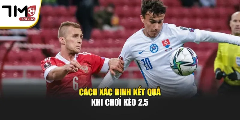 Kèo 2.5 Là Gì? Cách Hiểu Đúng Dành Cho Các Cược Thủ Cách xác định kết quả khi chơi kèo 2.5
