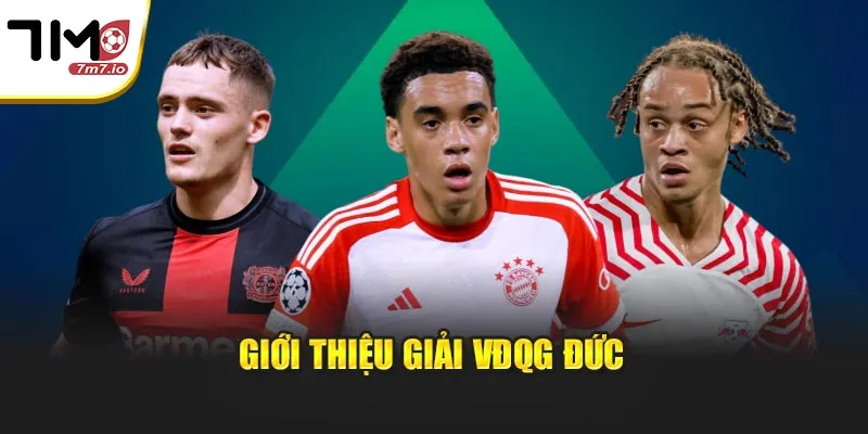 Giải VĐQG Đức: Cập Nhật Kết Quả, BXH Và Tỷ Số Tại 7M Giới thiệu giải VĐQG Đức