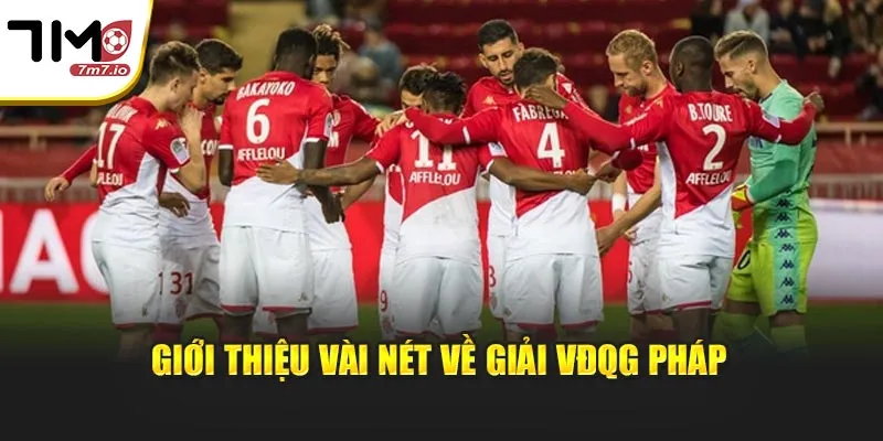 Giải VĐQG Pháp: Tỷ Số Trực Tuyến Và Dữ Liệu Bóng Đá Tại 7M Giới thiệu vài nét về giải VĐQG Pháp