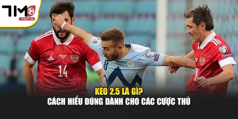 Kèo 2.5 Là Gì? Cách Hiểu Đúng Dành Cho Các Cược Thủ Kèo 2.5 Là Gì? Cách Hiểu Đúng Dành Cho Các Cược Thủ