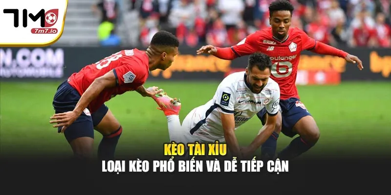 Kèo Tài Xỉu – Hướng Dẫn Phân Tích Và Cách Chơi Hiệu Quả Kèo Tài Xỉu – Loại kèo phổ biến và dễ tiếp cận