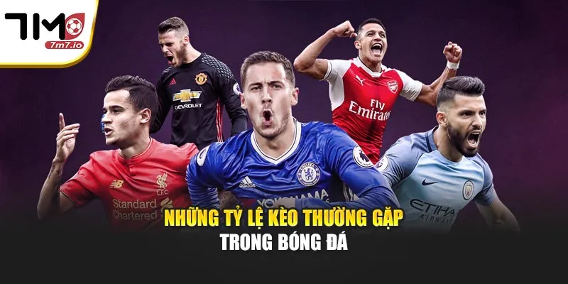 Cách Đọc Tỷ Lệ Kèo Bóng Đá Dễ Hiểu Cho Người Mới Những tỷ lệ kèo thường gặp trong bóng đá