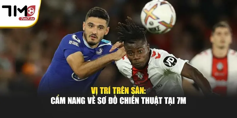 Vị Trí Trên Sân: Cẩm Nang Về Sơ Đồ Chiến Thuật Tại 7M Vị Trí Trên Sân: Cẩm Nang Về Sơ Đồ Chiến Thuật Tại 7M