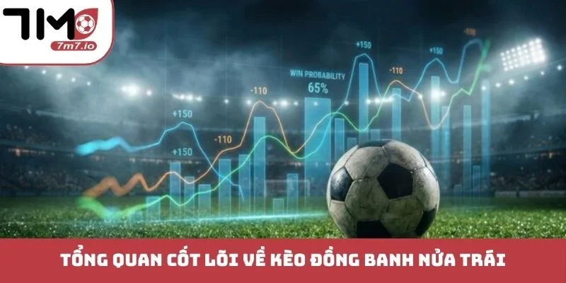 Tổng quan cốt lõi về kèo đồng banh nửa trái