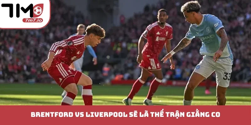 Soi kèo Brentford vs Liverpool, 17/10/2026, Premier League Brentford vs Liverpool sẽ là thế trận giằng co